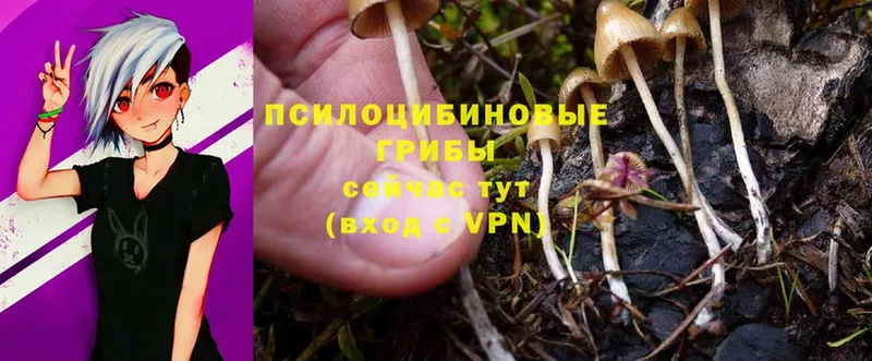 сколько стоит  OMG сайт  Галлюциногенные грибы MAGIC MUSHROOMS  Джанкой 